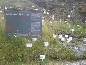 Image illustrative de l’article Kongsvoll fjellhage