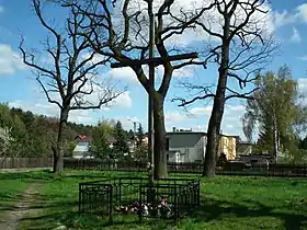 Krosinko (Grande-Pologne)