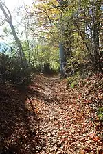 Le GR VA dans le Kuitholbos (nl)