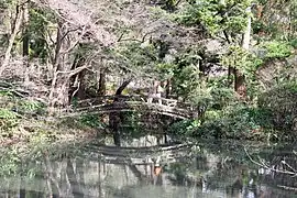 Jardin botanique de Kyoto