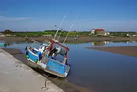 La Seudre à l'Éguille.