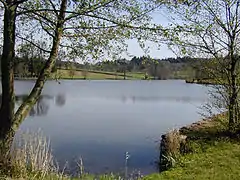 L'étang du Palais.