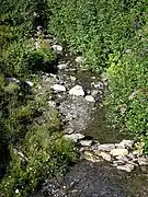Dans les alpages du col de Balme