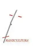 logo de Transcultura