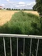 la Beine à Brouchy en mai 2020