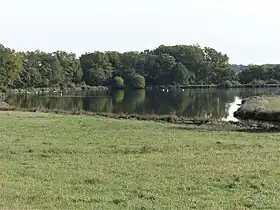 Image illustrative de l’article Étang et prairies humides de Tiolet