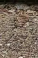 Trace de fenêtre murée dans le mur sud