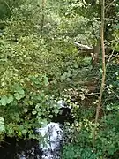 La Luce à Thézy-Glimont, juste avant la confluence avec l'Avre.