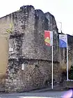 Ruines de remparts à la porte Saint-Martin (juin 2009).