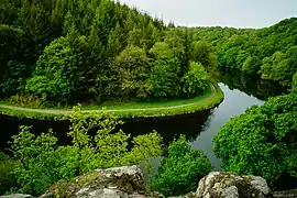 Vue en contre plongée d'une vallée boisée, dans laquelle coule un cours d'eau.