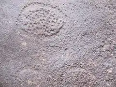 Gravure rupestre, parc national de la Lopé, Gabon