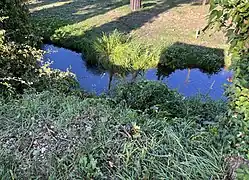 La Rize au niveau du chemin de la Rize.