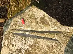 Image illustrative de l’article Polissoirs de la Fosse à la Cardine