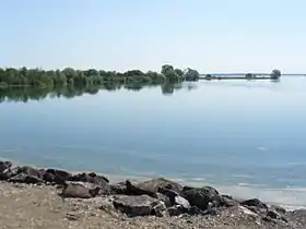 Image illustrative de l’article Lac du Der-Chantecoq