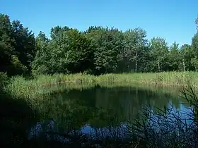 Image illustrative de l’article Lac Noir (Granier)