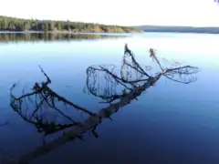 Le lac de Charpal en automne (Lozère).