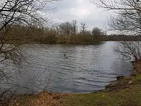 Image illustrative de l’article Lac de Courty