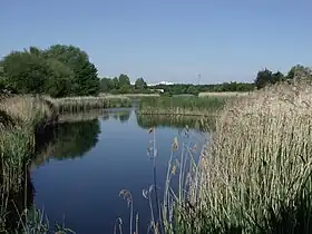 Image illustrative de l’article Parc des Chanteraines