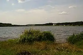 Jankowice (Radomsko)