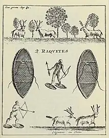 « On marche bien plus vite avec ces machines sur la neige qu'on ne feroit avec des souliers sur un chemin battu. »