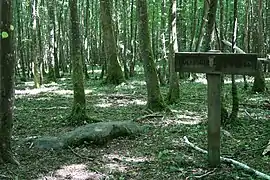 Polissoir avec plage.