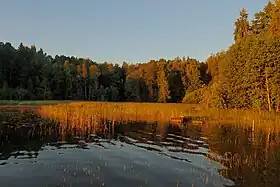 Image illustrative de l’article Kukkia