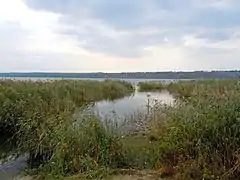 Rive du lac Yalpouh.