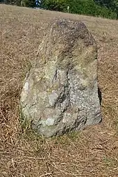 Menhir du Ribl
