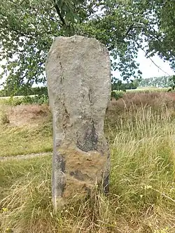 Image illustrative de l’article Menhir de Saubach