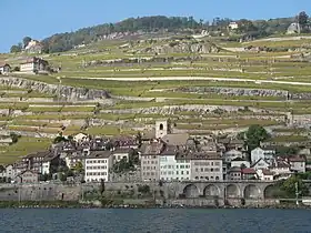 Saint-Saphorin, Suisse