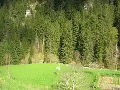 Le Furon aux Jeux à Engins