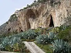 Les grottes des Balzi Rossi situées sur une falaise d'environ 100 mètres de haut montrent des traces d'occupation par l'homme depuis le Paléolithique moyen (300&nbsp;000&nbsp;ans) jusqu'à la fondation de la ville antique de Vintimille en Ligurie. Cela constitue la plus longue occupation humaine au monde d'un site géographique.