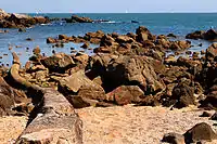 La Côte sauvage au Croisic