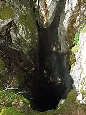 Puits s'enfonçant dans du calcaire blanc et partiellement couvert de mousse.