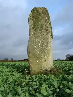 Image illustrative de l’article Menhir de Toul-an-Lann
