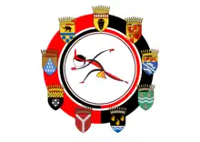 Logo du Tournoi des 9 provinces