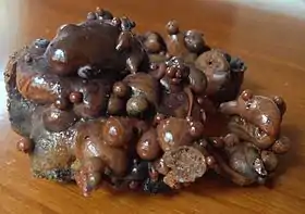 Image illustrative de l’article Lechateliérite