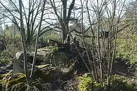 Enclos des lémurs catta.