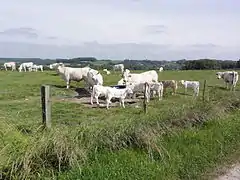 Paysage avec vue sur Les Autels.