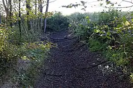 Chemin creux (ancien canal à sec ?).