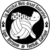 Image illustrative de l’article Ligue bretonne de football gaélique