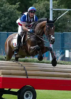 Image illustrative de l’article Lionel Guyon