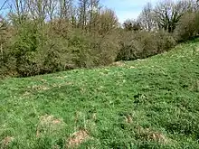Vue d'un terrain en demi-cercle avec des arbres à l'arrière-plan