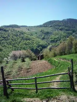 Ljubičevac (Stragari)