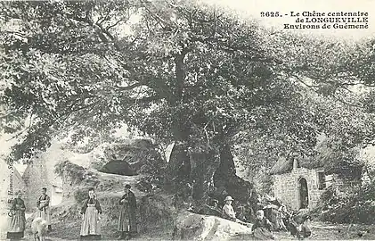 Villageois posant près du chêne centenaire de Longueville. Les femmes portent le costume du Pays Pourlet (carte postale Émile Hamonic).