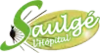 Image illustrative de l’article Saulgé-l'Hôpital