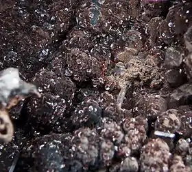 Lotharmeyerite Mexique. Taille des cristaux : 0,3&nbsp;mm.