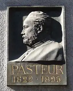 Louis Pasteur, bas-relief au no&nbsp;3 rue des Veaux à Strasbourg.