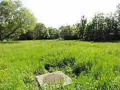 Le puits dans son environnement.