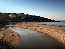 Embouchure du Regino